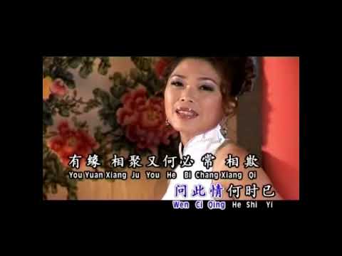 奈何 - 欧丽雯 (Karaoke Version)