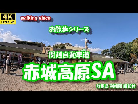 関越自動車道 赤城高原SA 【4K お散歩シリーズ】 群馬県 利根郡 昭和村  24年10月17日