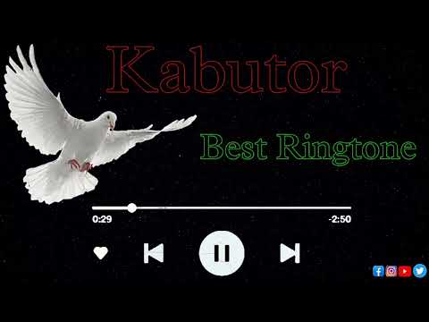 Kabutor Best Ringtone#trending #ringtone #sortvideo #vairal #kabutar #kabutarbazi #pigeon