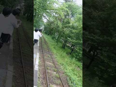 20170528 芦野公園に津鉄ストーブ列車