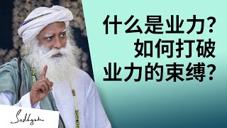 业力是什么? 如何打破业力的束缚？| Sadhguru 萨古鲁