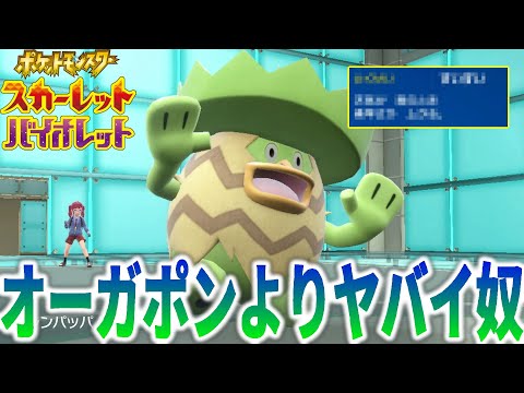 ルンパッパを"オーガポン以上"の火力と素早さにする方法ｗｗｗ【ポケモンSV】