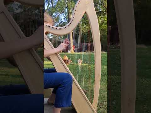 Practicing 'Oh How Good It Is': Hymnprov #shorts #harp #worshipsongs #celticharp