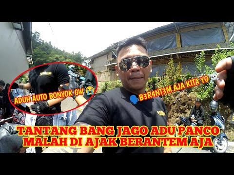 NIAT TANTANG ADU PANCO SAMA STEVE JOU MALAH DI AJAK G3LUD