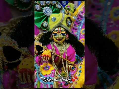 Radhe Krishna♥️ #radhakrishna #vrindavan #radheradhe #laddugopal #hindu #krishna #shorts #ytshorts