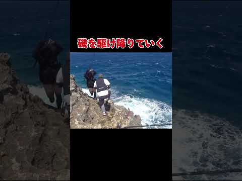 シイラの群れこの釣りが楽しすぎる#釣り#沖縄#fishing