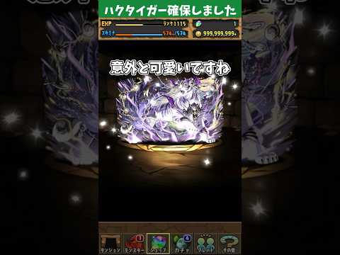 ハクタイガーは交換しましたか？#パズドラ #shorts