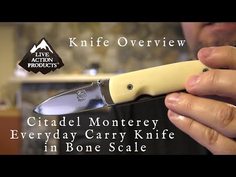 Monterey Everyday Carry Knife in Bone Scale by Citadel