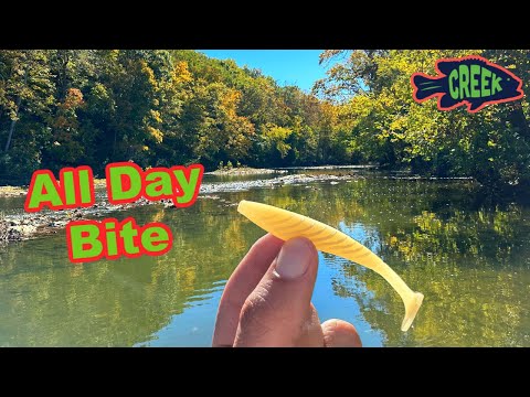 I Love This...Creek Fishing in Kentucky!!