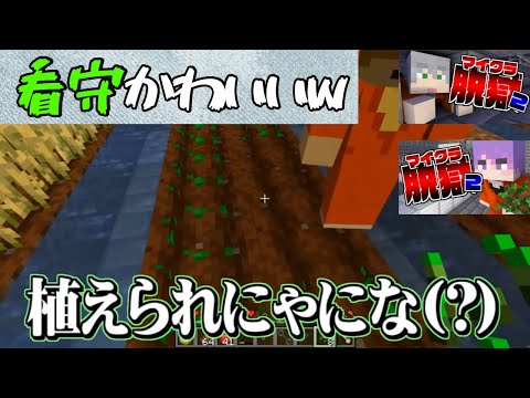 ✂️［日常組］名場面集【マイクラ脱獄2】（5・6話）