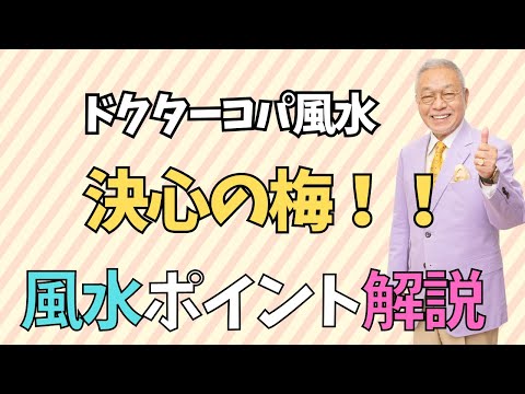 【夢を叶える梅干し】お求めやすい価格でちゃっかり開運♪プチプラアイテム♪しあわせをすくいとるためのスプーン