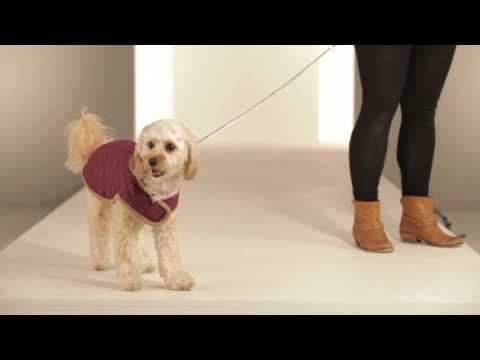 Strike-A-Paws 2014 - Nano Quilted Coat