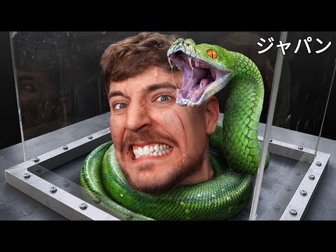 80万ドルを獲得するために最大の恐怖に立ち向かう | ミスタービーストジャパン | MrBeast Japan