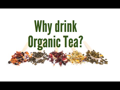 Why Should I Drink Organic Tea?