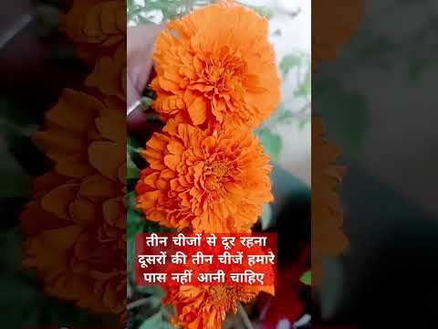 दूसरों की तीन चीज से दूर रहना हमेशा #motivation#shortvideo