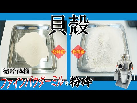 【粉砕テスト】貝殻パウダーをより細かなパウダーに加工しました