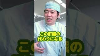 Q：肝臓の重さってどれくらいですか？【本物の外科医が回答】 #shorts