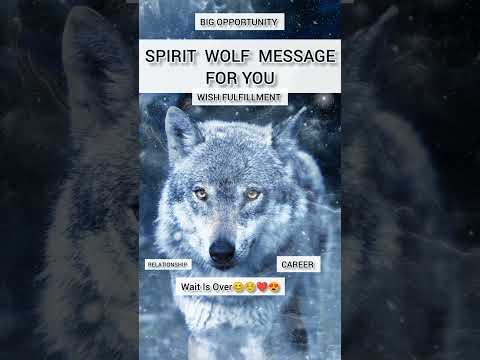 Spirit Wolf Message For You