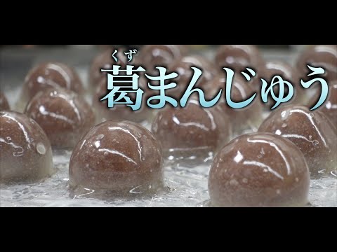 【職人技！】プロが作る葛まんじゅうの作り方｜和菓子づくり｜葛饅頭