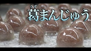 【職人技！】プロが作る葛まんじゅうの作り方｜和菓子づくり｜葛饅頭