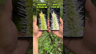 Realme 13 Plus 5g vs Vivo Y200 5g Camera Test (5x Zooming) #realme #vivo #shorts