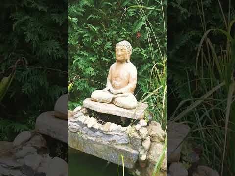 water fountain #relaxing #relaxation #fountain #shorts