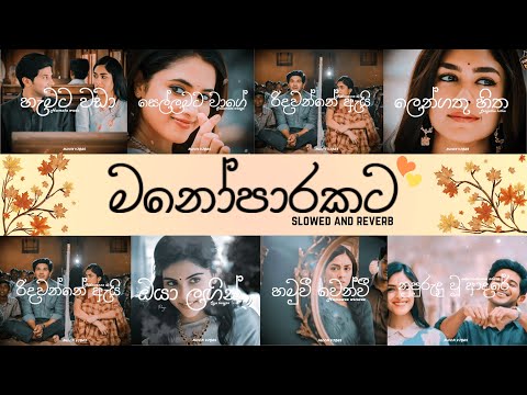 මනෝපාරකට Sinhala Slowed and Reverb Songs That Will CHANGE Your Mood!