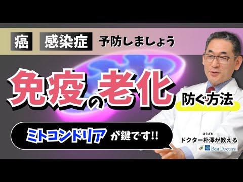 【医師解説】免疫の老化を防ぐ「三種の神器」