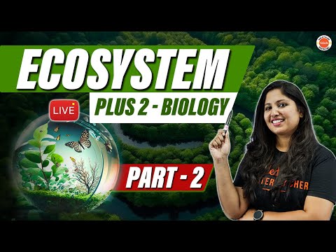 Ecosystem in Malayalam| Plus Two biology | Part 2 | Anchana Ma'am