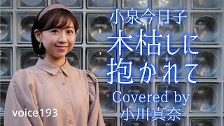 「木枯しに抱かれて」小泉今日子　Covered by 小川真奈  (arranged by 田川伸治) / on mic