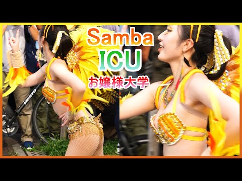 4K 最強 大学生 サンバ ICUラムズ 黄色い羽 ひまわり娘 三茶ラテンフェスティバル2023 Japanese Samba 三軒茶屋 แซมบ้า