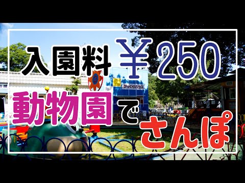 超 良心的！￥250で楽しめる動物園でさんぽ