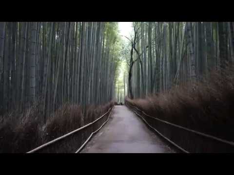 京都嵐山竹林小徑