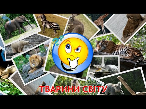 Тварини світу. Вивчаємо тварини світу українською мовою.