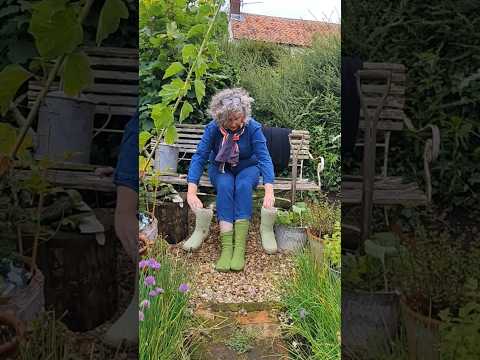 It's all happening in the garden this weekend.  Mark is causing havoc in the garden.