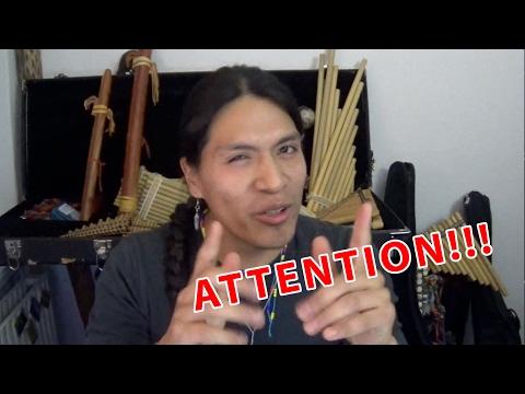 Attention Attention - Leo Rojas Nature Spirits