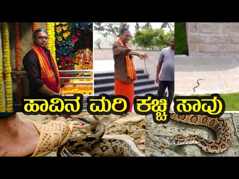 ಮರಿ ಹಾವಿನ ಜೊತೆ ಎಡವಟ್ಟು | Mangaluru Snake| ಹಾವಿನ ಪರಿಚಯ ಇಲ್ಲದೆ ನಡೆದ | #news #kannada #snake