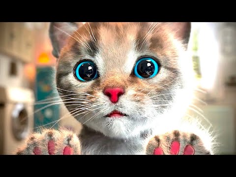 Cute Kitten Little Cat Adventure - Play Fun Pet Care - Preschool Educational Game Learning for kids!