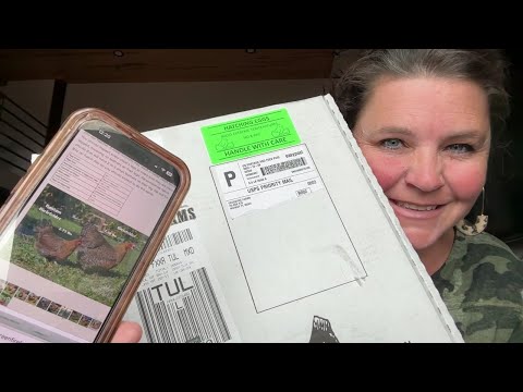 UNBOXING Greenfire Farms Hatching Eggs! More Chicken Chat With Chrissy & Ultimate Coop Reveal TALK