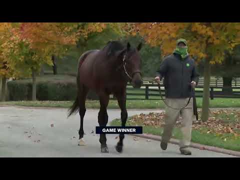 Candy Ride, Twirling Candy, and Game Winner have Breeders' Cup starters