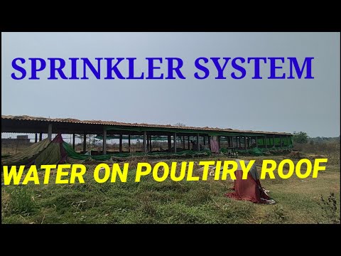 Sprinkker System Water On Poultary Roof