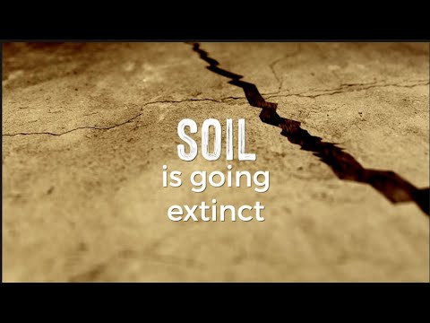 Soil is Going Extinct - Learn & Support to Save Soil