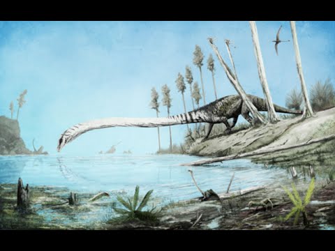 Paleo Profile - Tanystropheus