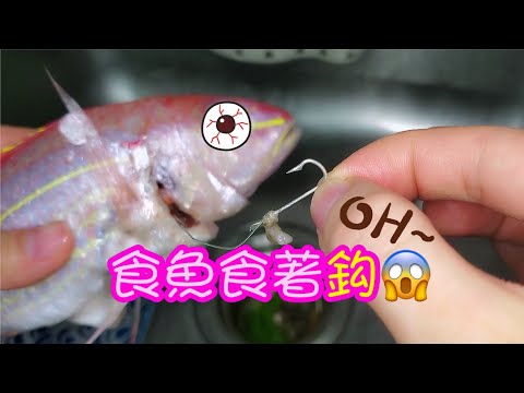 蕃茄煎紅衫魚🐠 | 請訂閱支持🤗