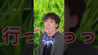 野生の色違いポケモンとエンカウントする裏側ww