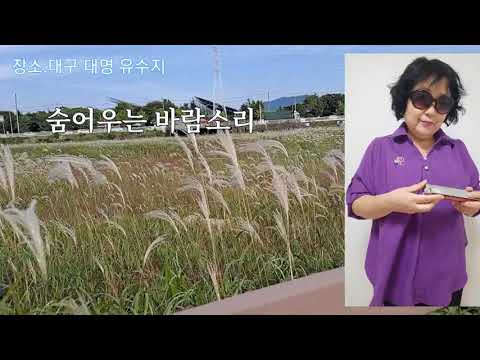 숨어우는바람소리 대명유수지 #대구여행 #대구여행코스