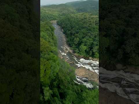 Vazhachal Waterfalls in Thrissur | Birdwatching Haven and Adventure Spot