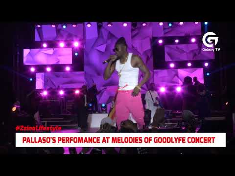 Pallaso performing at Memories of Gudlyfe Concert | Zzina Lifestyle