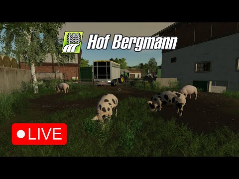 🔴Hof Bergmann #6 - Die ersten Schweine (Deutscher Mast) 🔴