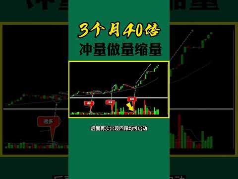 股票买卖 | 他3个月赚40倍怎么做的#shorts#stockmarket#投资